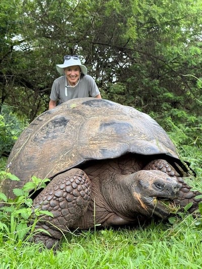 Galapagous - Arlene